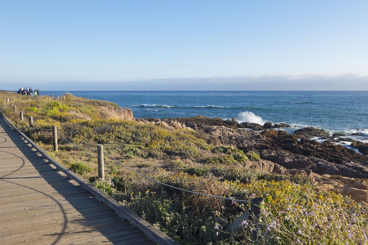 A scenic coastal pathway with a rocky shoreline and ocean view.