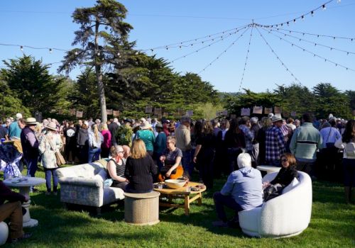 A crowded outdoor gathering with people mingling, string lights overhead, and casual seating on the grass, likely a social event or party.