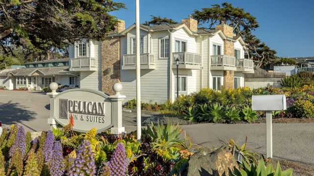 Pelican Inn & Suites — photo 25 of 60