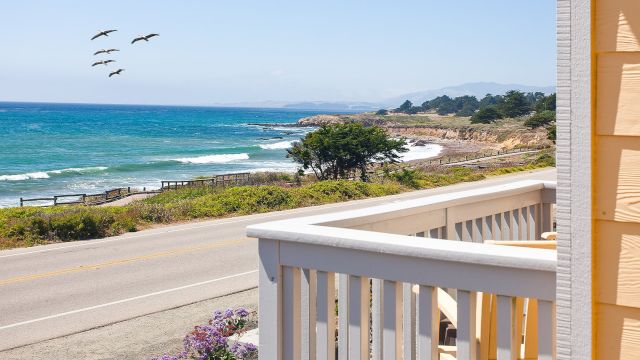 A balcony with a white railing overlooking the ocean with birds flying overhead.