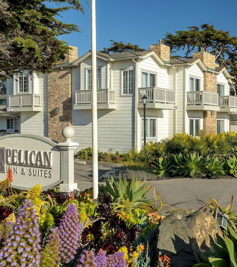 Pelican Inn & Suites — photo 39 of 60