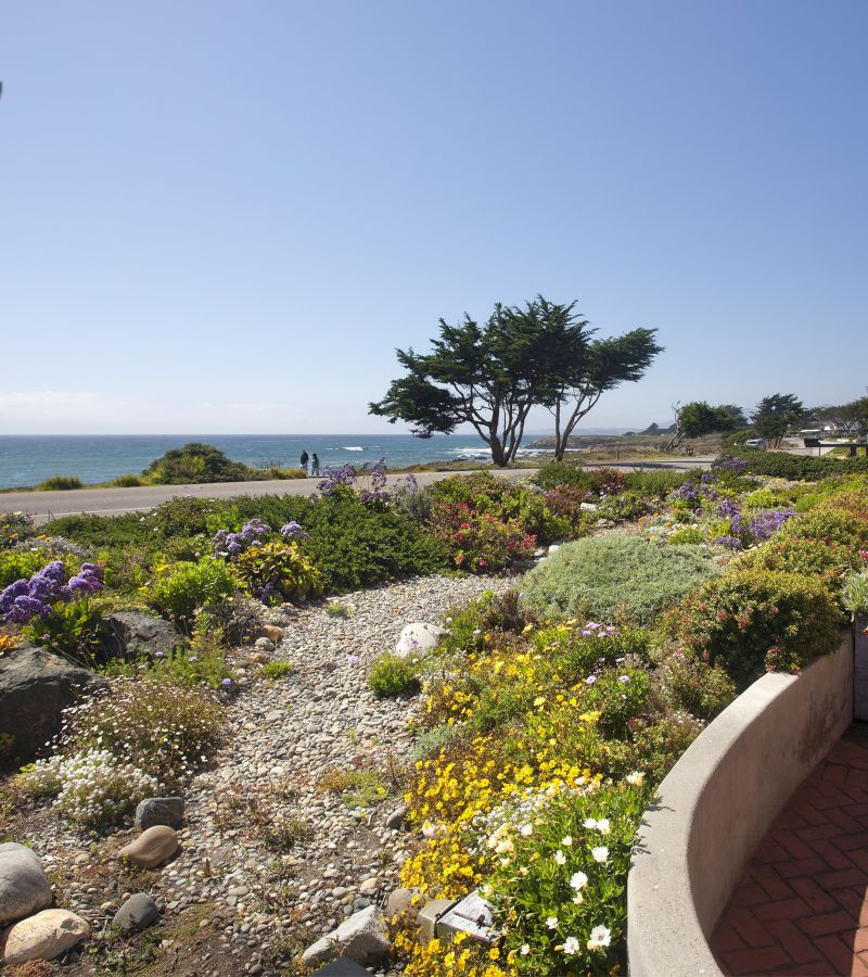 a garden with flowers and trees overlooking the ocean