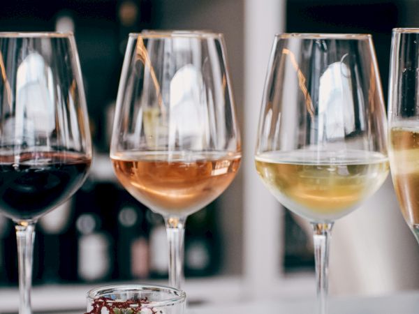 Several wine glasses with red, ros&eacute;, and white wine sit on a bar counter, blurred background imaginative.