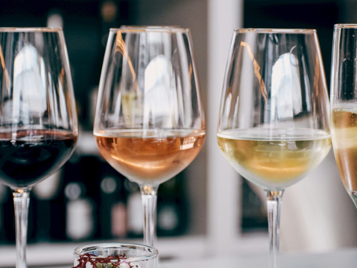 Rows of wine glasses filled with red, rose, and white wine, set on a bar during a tasting event.