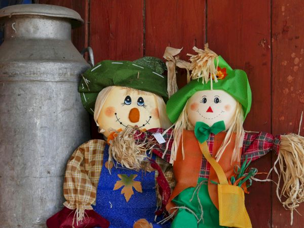 Two cheerful scarecrow dolls with straw hair and green hats sit beside a large metal container on a red wooden wall.